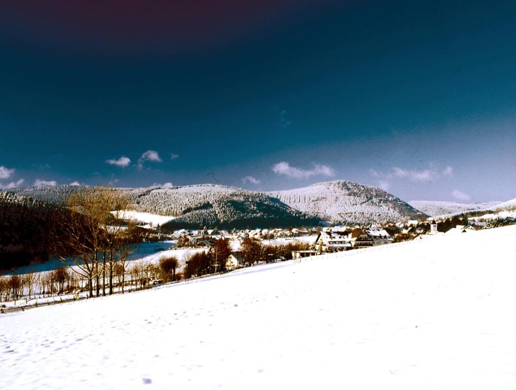 Heidehotel Hildfeld Winterberg Kültér fotó