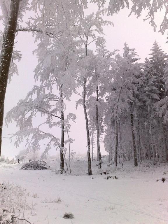 Heidehotel Hildfeld Winterberg Kültér fotó
